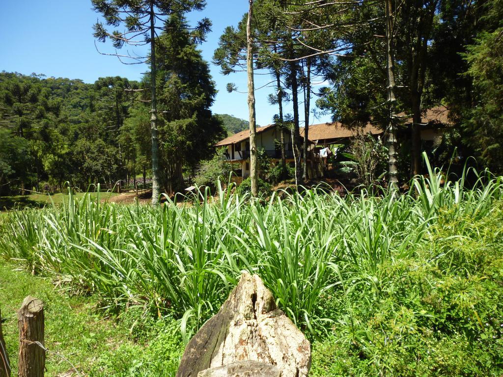 Apartamento Ferias Fazenda Usina 1 โบไคนา เด มินาส ภายนอก รูปภาพ