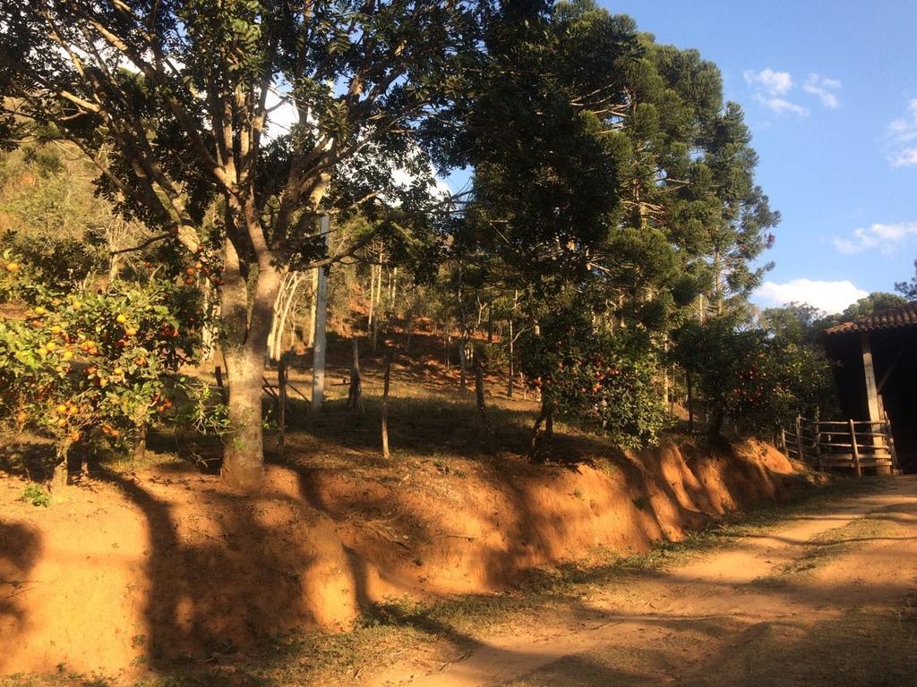 Apartamento Ferias Fazenda Usina 1 โบไคนา เด มินาส ภายนอก รูปภาพ