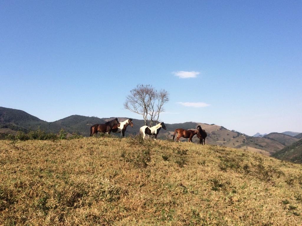 Apartamento Ferias Fazenda Usina 1 โบไคนา เด มินาส ภายนอก รูปภาพ